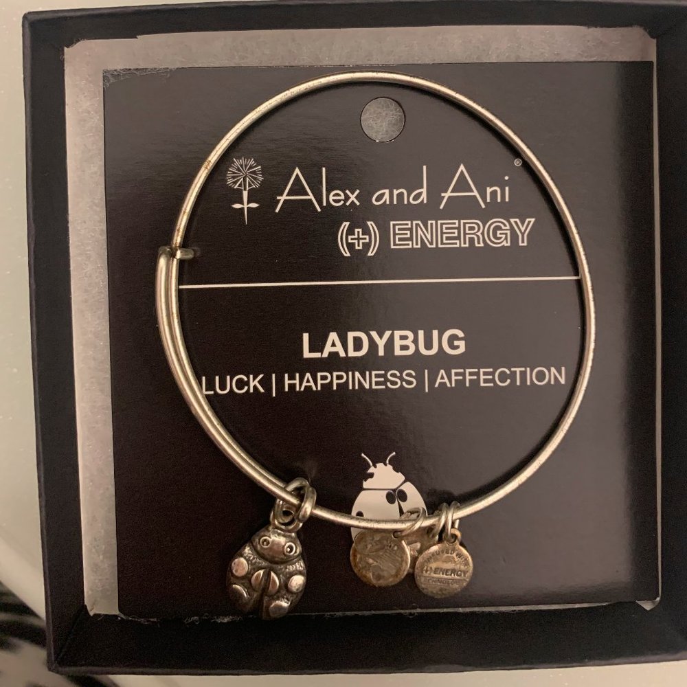 Alex and Ani Bracelet